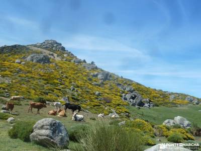 Reserva Natural Valle Iruelas-Pozo de la nieve;nacimiento urederra puente de la inmaculada viajar so